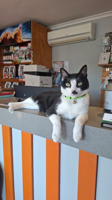 Hakuna Matata Veterinary Clinic